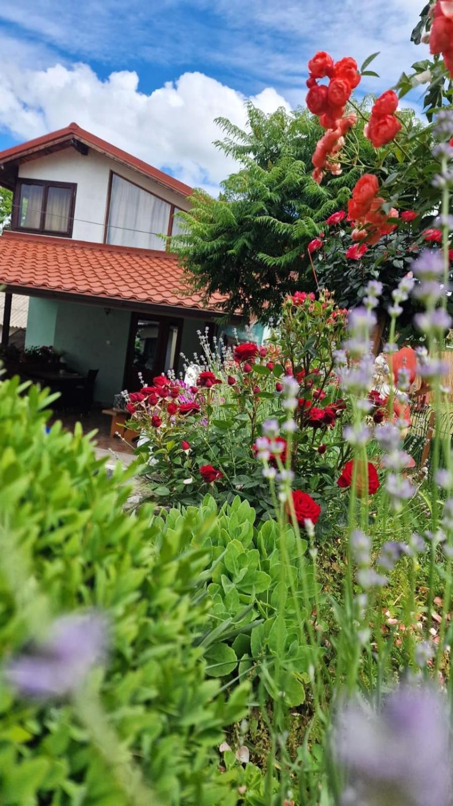 Casa Adi Si Maria Hotel Mahmudia Luaran gambar