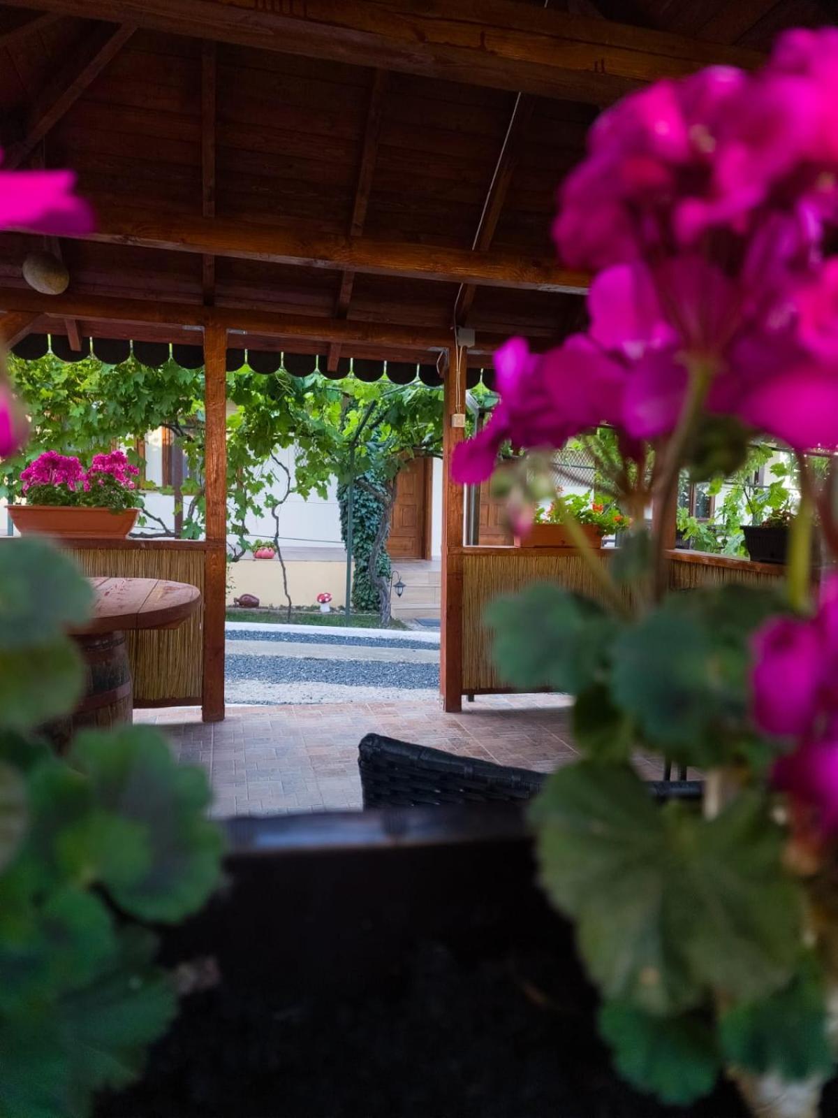 Casa Adi Si Maria Hotel Mahmudia Luaran gambar
